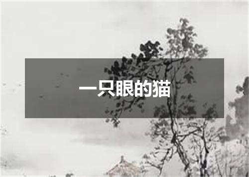 一只眼的猫