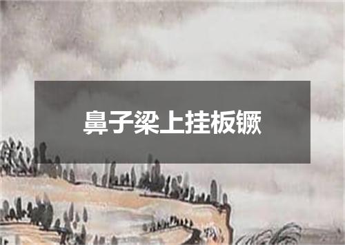 鼻子梁上挂板镢