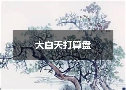 大白天打算盘