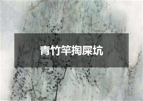 青竹竿掏屎坑