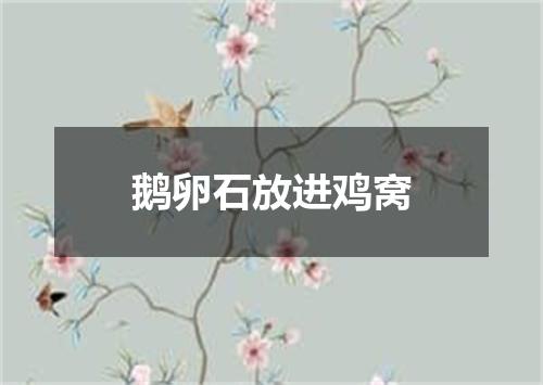 鹅卵石放进鸡窝