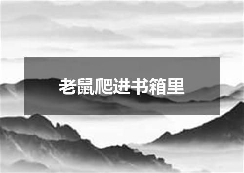 老鼠爬进书箱里