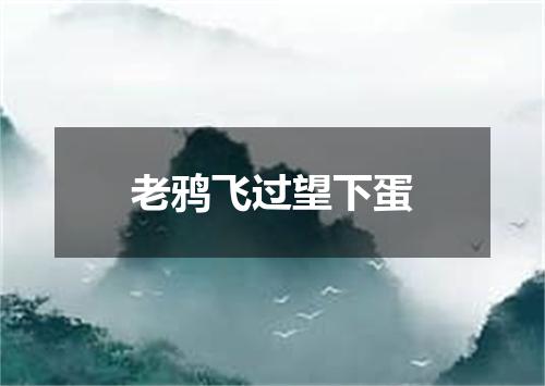 老鸦飞过望下蛋