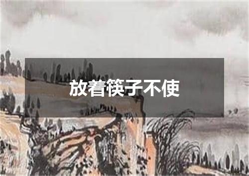 放着筷子不使