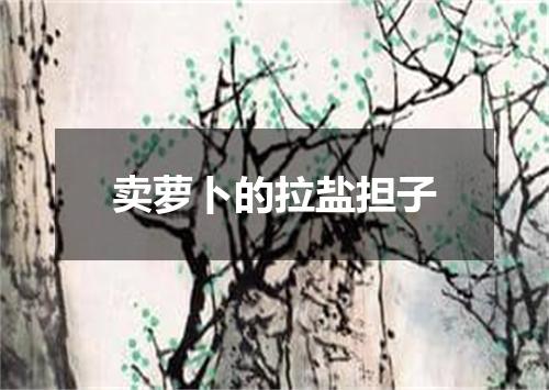 卖萝卜的拉盐担子