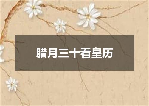 腊月三十看皇历