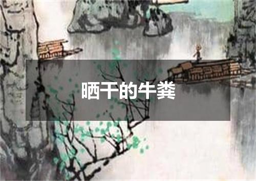 晒干的牛粪