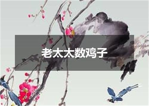 老太太数鸡子